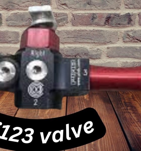Pi123 valve